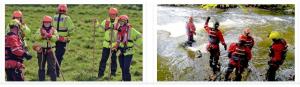 Search activities